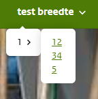 Screenshot navigatie 1